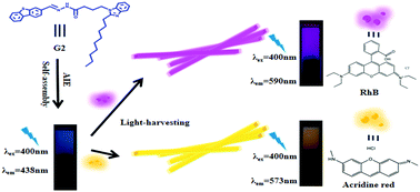 Graphical abstract: Efficient artificial light-harvesting systems based on aggregation-induced emission in supramolecular gels