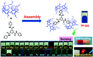 Graphical abstract: A simple pillar[5]arene assembled multi-functional material with ultrasensitive sensing, self-healing, conductivity and host–guest stimuli-responsive properties