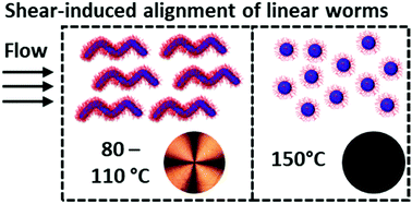 Graphical abstract: Shear-induced alignment of block copolymer worms in mineral oil