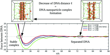 Graphical abstract: DNA-assisted assembly of cationic gold nanoparticles: Monte Carlo simulation