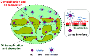 Graphical abstract: One-pot facile synthesis of PDMS/PDMAEMA hybrid sponges for surfactant stabilized O/W emulsion separation