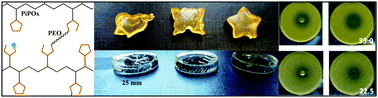 Graphical abstract: A simple strategy for efficient preparation of networks based on poly(2-isopropenyl-2-oxazoline), poly(ethylene oxide), and selected biologically active compounds: Novel hydrogels with antibacterial properties