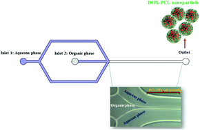 Graphical abstract: Production of doxorubicin-loaded PCL nanoparticles through a flow-focusing microfluidic device: encapsulation efficacy and drug release
