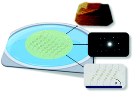 Graphical abstract: Structural characterization of α,ω-DH6T monolayer films grown at the liquid–liquid interface