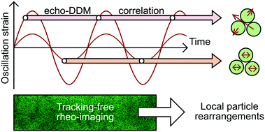 Graphical abstract: Characterising shear-induced dynamics in flowing complex fluids using differential dynamic microscopy