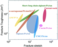 Graphical abstract: Extremely stretchable and tough hybrid hydrogels based on gelatin, κ-carrageenan and polyacrylamide