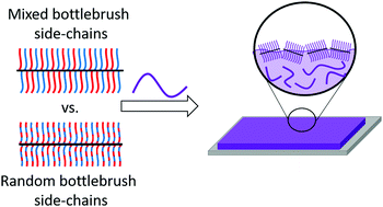 Graphical abstract: Understanding interfacial segregation in polymer blend films with random and mixed side chain bottlebrush copolymer additives