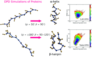 Graphical abstract: A generic force field for simulating native protein structures using dissipative particle dynamics