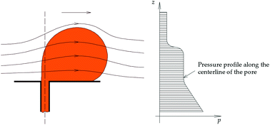 Graphical abstract: On the estimation of the size of a droplet emerging from a pore opening into a crossflow field