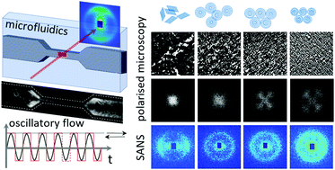 Graphical abstract: Lamellar-to-MLV transformation in SDS/octanol/brine examined by microfluidic-SANS and polarised microscopy