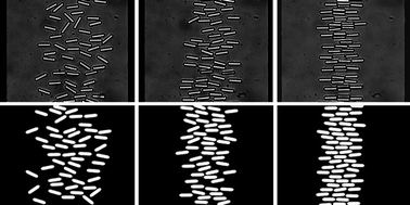 Graphical abstract: Anisotropic colloidal interactions & assembly in AC electric fields