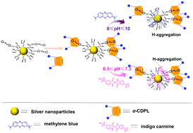 Graphical abstract: Chiral induction in a novel self-assembled supramolecular system composed of α-cyclodextrin porous liquids, chiral silver nanoparticles and planar conjugated molecules