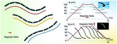Graphical abstract: Shape-programmable magneto-active elastomer composites for curve and biomimetic behavior imitation