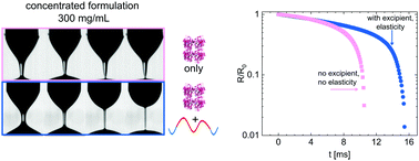 Graphical abstract: Small-volume extensional rheology of concentrated protein and protein-excipient solutions