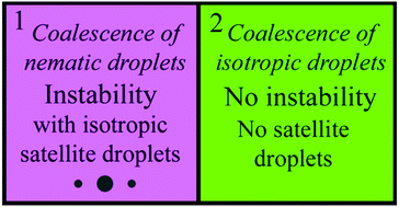 Graphical abstract: Quasi-two-dimensional coalescence of nematic and isotropic droplets and Rayleigh–Plateau instability in flat optical cells