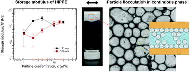 Graphical abstract: The role of excess attractive particles in the elasticity of high internal phase Pickering emulsions