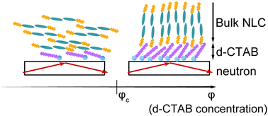 Graphical abstract: Neutron reflectometry-based in situ structural analysis of an aligning agent additive for the alignment of nematic liquid crystals on solid substrates