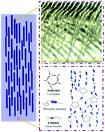 Graphical abstract: Actuation performance of a liquid crystalline elastomer composite reinforced by eiderdown fibers