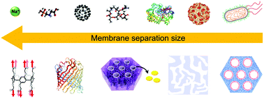 Graphical abstract: Current status and future directions of self-assembled block copolymer membranes for molecular separations
