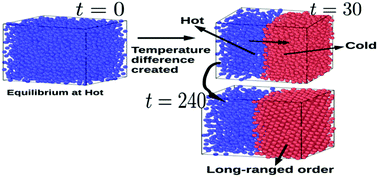 Graphical abstract: A long-range order in a thermally driven system with temperature-dependent interactions