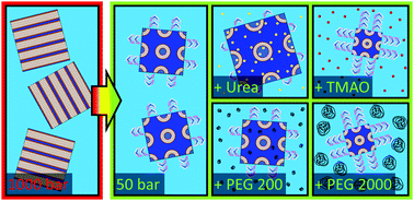 Graphical abstract: A pressure-jump study on the interaction of osmolytes and crowders with cubic monoolein structures