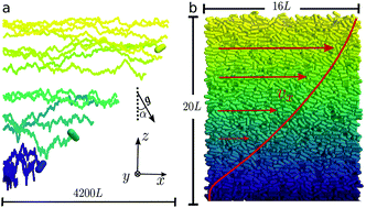 Graphical abstract: Self-diffusion of spherocylindrical particles flowing under non-uniform shear rate