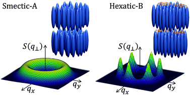 Graphical abstract: Angular structure factor of the hexatic-B liquid crystals: bridging theory and experiment