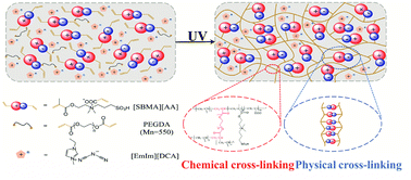 Graphical abstract: Dually cross-linked single network poly(ionic liquid)/ionic liquid ionogels for a flexible strain-humidity bimodal sensor