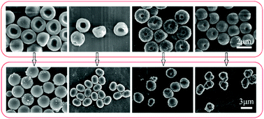 Graphical abstract: Synthesis of anisotropic colloids with concave and convex structures