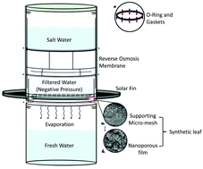 Graphical abstract: Transpiration-powered desalination water bottle