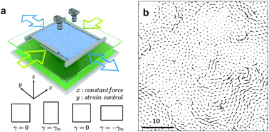 Graphical abstract: Turbulent-like velocity fluctuations in two-dimensional granular materials subject to cyclic shear