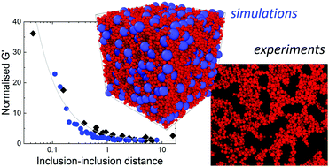 Graphical abstract: Stiffening colloidal gels by solid inclusions
