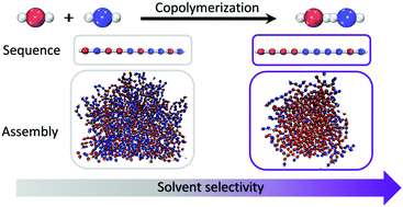 Graphical abstract: Selective solvent conditions influence sequence development and supramolecular assembly in step-growth copolymerization