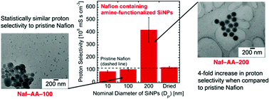Graphical abstract: Role of nanoparticle size and surface chemistry on ion transport and nanostructure of perfluorosulfonic acid ionomer nanocomposites