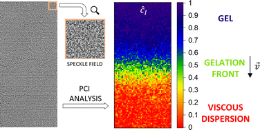 Graphical abstract: Unraveling gelation kinetics, arrested dynamics and relaxation phenomena in filamentous colloids by photon correlation imaging