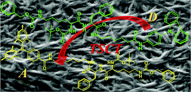 Graphical abstract: Tuning the through-space charge transfer emission in triarylborane and triarylamine functionalized dipeptide organogels