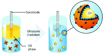 Graphical abstract: Synthesis of nanostructured protein–mineral-microcapsules by sonication