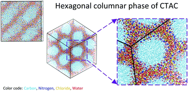 Graphical abstract: The phase behaviour of cetyltrimethylammonium chloride surfactant aqueous solutions at high concentrations: an all-atom molecular dynamics simulation study