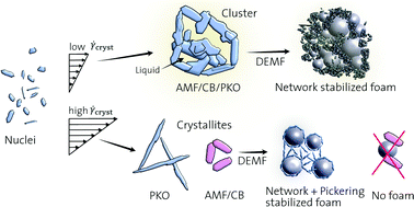 Graphical abstract: The rheology and foamability of crystal-melt suspensions composed of triacylglycerols