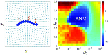 Graphical abstract: Absolute negative mobility of active polymer chains in steady laminar flows