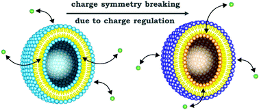 Graphical abstract: Curvature effects in charge-regulated lipid bilayers