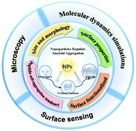 Graphical abstract: Influencing factors and characterization methods of nanoparticles regulating amyloid aggregation