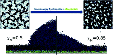 Graphical abstract: Coarse-grained molecular models of the surface of hair