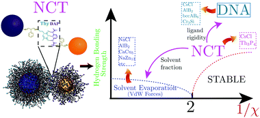 Graphical abstract: Nanocomposite tectons as unifying systems for nanoparticle assembly