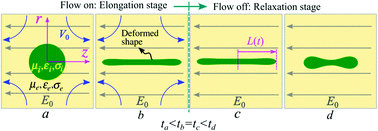 Graphical abstract: Electrically modulated relaxation dynamics of pre-stretched droplets post switched-off uniaxial extensional flow