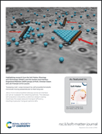 Graphical abstract: Back cover