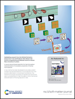 Graphical abstract: Back cover