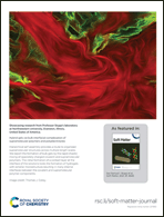 Graphical abstract: Back cover