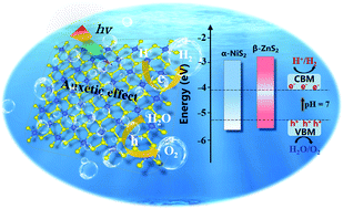 Graphical abstract: Penta-MS2 (M = Mn, Ni, Cu/Ag and Zn/Cd) monolayers with negative Poisson's ratios and tunable bandgaps as water-splitting photocatalysts