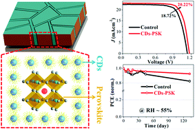 Graphical abstract: Self-assembled carbon dot-wrapped perovskites enable light trapping and defect passivation for efficient and stable perovskite solar cells